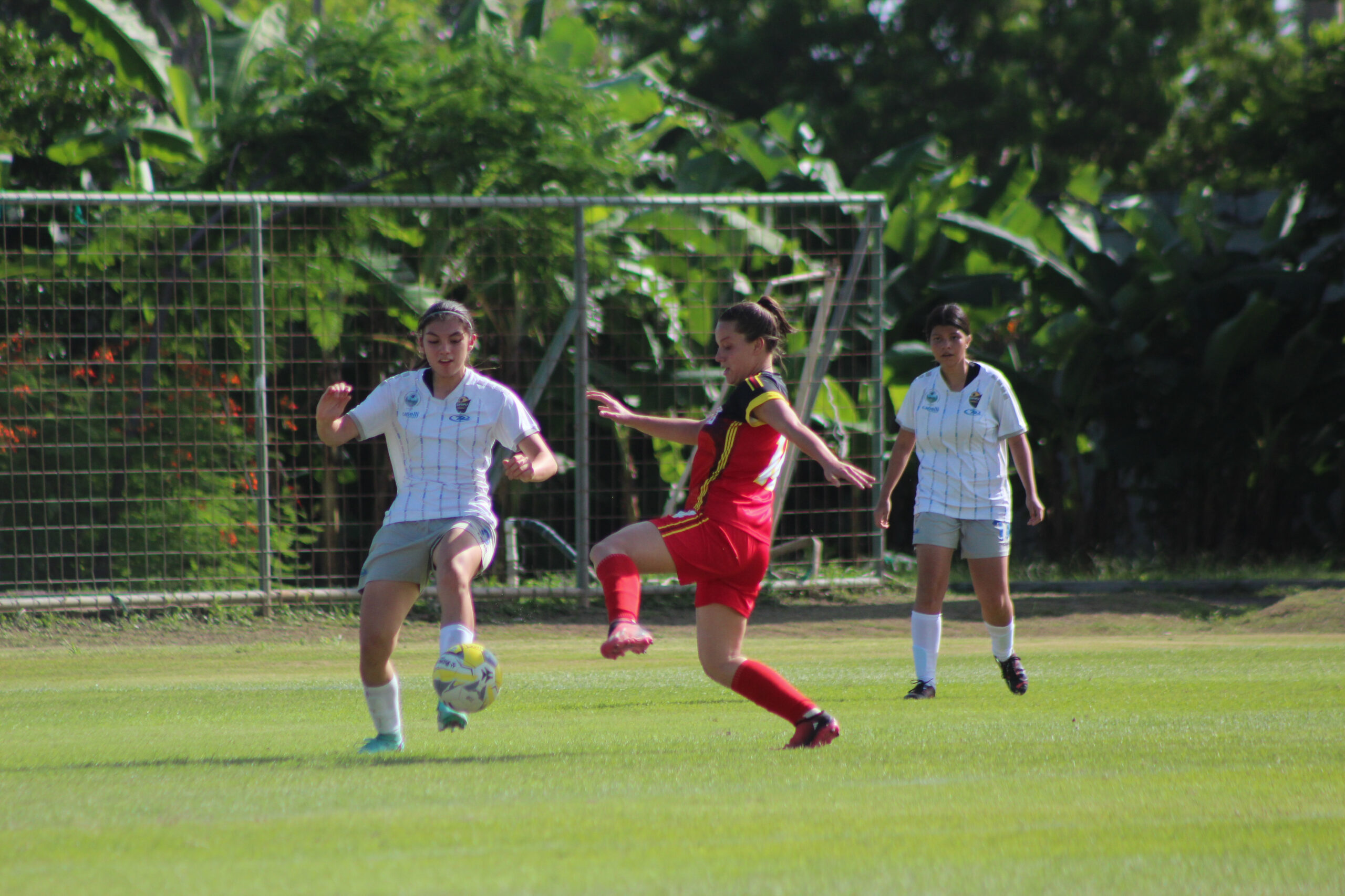 CCDR Escazú golpea al CCDR Heredia en el primer juego del grupo